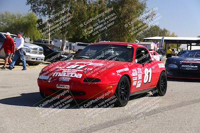 media/Oct-14-2023-CalClub SCCA (Sat) [[0628d965ec]]/Around the Pits/